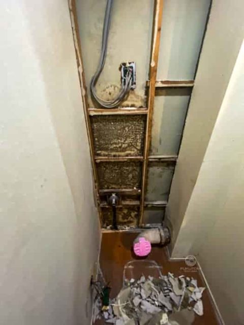 水漏れが疑われる面、壁の下地材、石膏ボードを撤去したらカビ／便器交換・トイレ内装一式貼替えリフォームで水漏れ発見／築３４年リフォーム