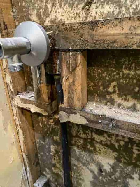 壁の中の上水管とトイレへの配管接続部からの水漏れ